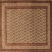 Square Machine Washable Persian Brown Traditional Rug, wshtr1521brn