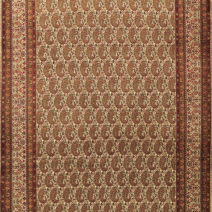 Machine Washable Persian Brown Traditional Rug, wshtr1521brn