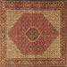 Square Machine Washable Persian Brown Traditional Rug, wshtr1522brn