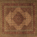 Square Persian Brown Traditional Rug, tr1523brn