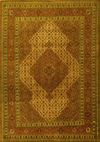 Persian Yellow Traditional Rug, tr1523yw