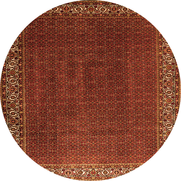Square Persian Orange Traditional Rug, tr1524org