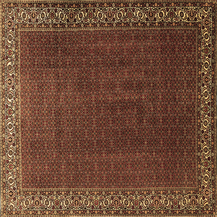 Square Persian Brown Traditional Rug, tr1524brn
