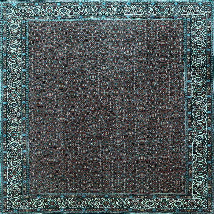 Square Persian Light Blue Traditional Rug, tr1524lblu