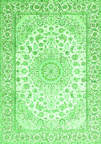 Medallion Green Traditional Rug, tr153grn