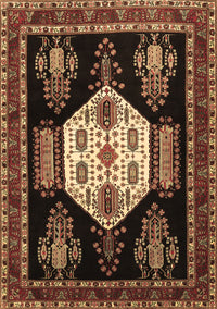 Persian Brown Traditional Rug, tr1544brn