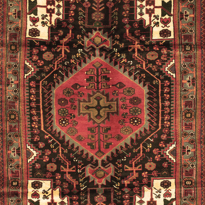 Persian Brown Traditional Rug, tr154brn