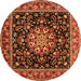 Square Persian Orange Traditional Rug, tr1551org
