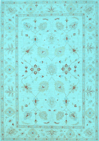 Persian Light Blue Traditional Rug, tr1552lblu