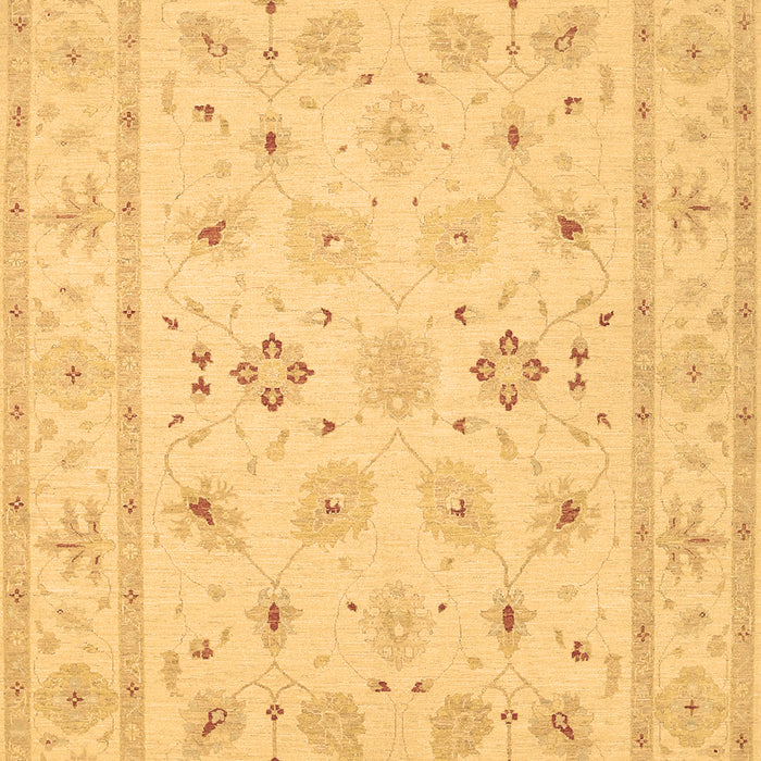 Machine Washable Persian Brown Traditional Rug, wshtr1552brn
