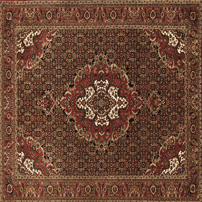 Square Persian Brown Traditional Rug, tr1555brn