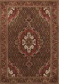 Persian Brown Traditional Rug, tr1555brn