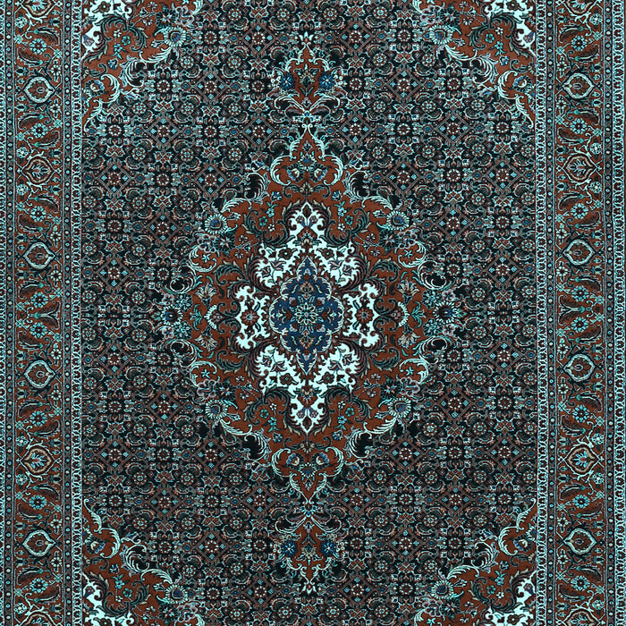 Persian Light Blue Traditional Rug, tr1555lblu