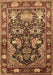 Animal Brown Traditional Rug, tr1556brn