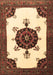 Machine Washable Medallion Brown Traditional Rug, wshtr1557brn