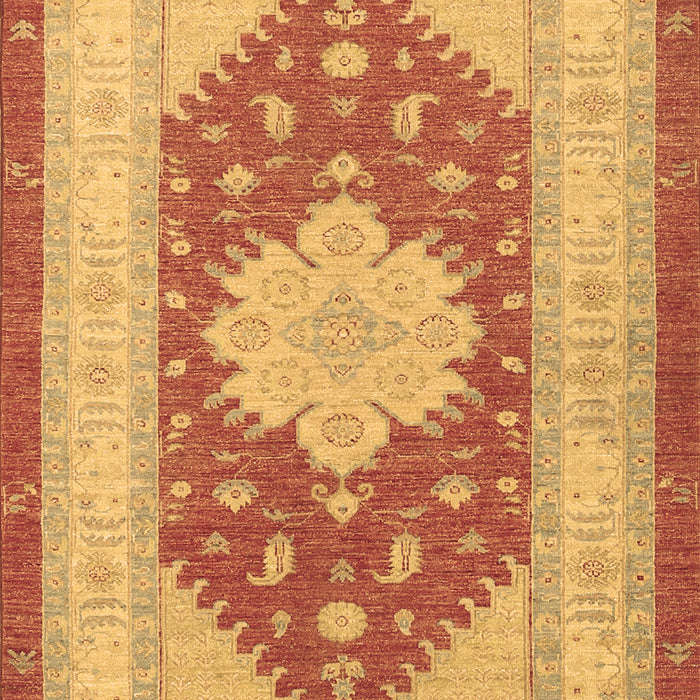 Machine Washable Persian Brown Traditional Rug, wshtr1558brn
