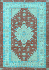 Persian Light Blue Traditional Rug, tr1558lblu