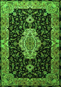 Medallion Green Traditional Rug, tr1561grn