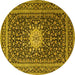 Round Medallion Yellow Traditional Rug, tr1562yw