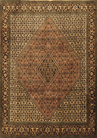 Persian Brown Traditional Rug, tr1566brn