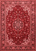 Medallion Red Traditional Area Rugs