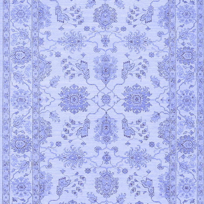 Oriental Blue Traditional Rug, tr1571blu