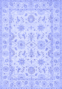 Oriental Blue Traditional Rug, tr1572blu