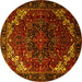 Round Persian Yellow Traditional Rug, tr1573yw