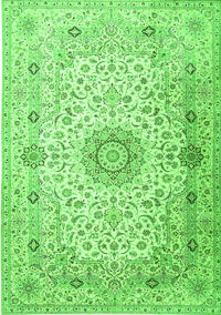 Medallion Green Traditional Rug, tr1574grn