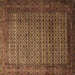 Square Persian Brown Traditional Rug, tr1575brn