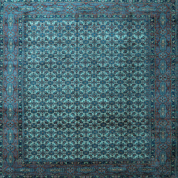 Square Persian Light Blue Traditional Rug, tr1575lblu