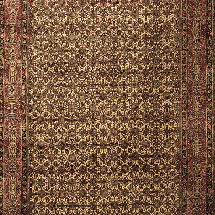 Persian Brown Traditional Rug, tr1575brn