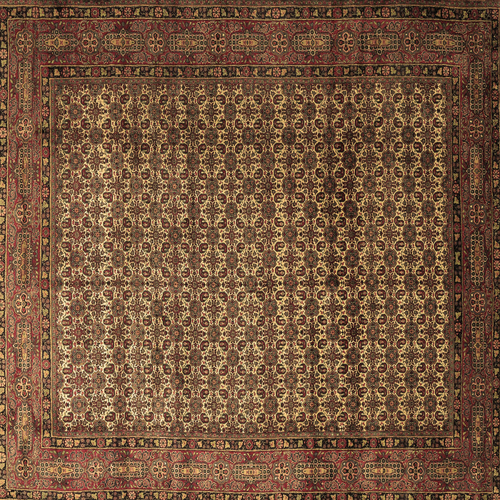 Square Machine Washable Persian Brown Traditional Rug, wshtr1575brn
