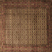 Square Machine Washable Persian Brown Traditional Rug, wshtr1575brn