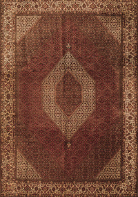 Medallion Brown Traditional Rug, tr1576brn