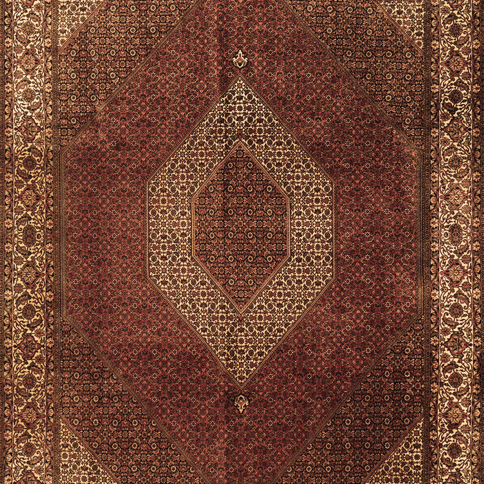 Machine Washable Medallion Brown Traditional Rug, wshtr1576brn