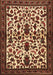 Machine Washable Persian Brown Traditional Rug, wshtr1577brn