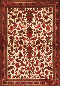 Persian Orange Traditional Rug, tr1577org