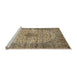 Sideview of Machine Washable Traditional Sepia Brown Rug, wshtr1582