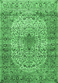 Medallion Emerald Green Traditional Rug, tr1582emgrn