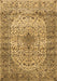 Medallion Brown Traditional Rug, tr1582brn