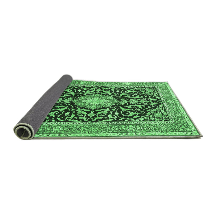 Sideview of Medallion Emerald Green Traditional Rug, tr1584emgrn
