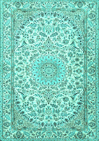 Medallion Turquoise Traditional Rug, tr1587turq