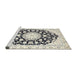 Sideview of Machine Washable Traditional Champagne Beige Rug, wshtr1588