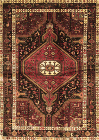 Persian Brown Traditional Rug, tr158brn