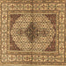 Square Machine Washable Persian Brown Traditional Rug, wshtr1592brn