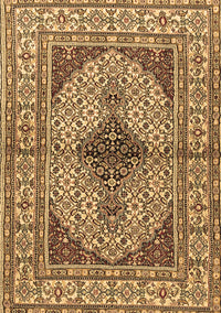 Persian Brown Traditional Rug, tr1592brn