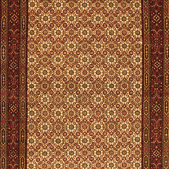 Persian Orange Traditional Rug, tr1593org