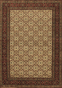 Persian Brown Traditional Rug, tr1593brn