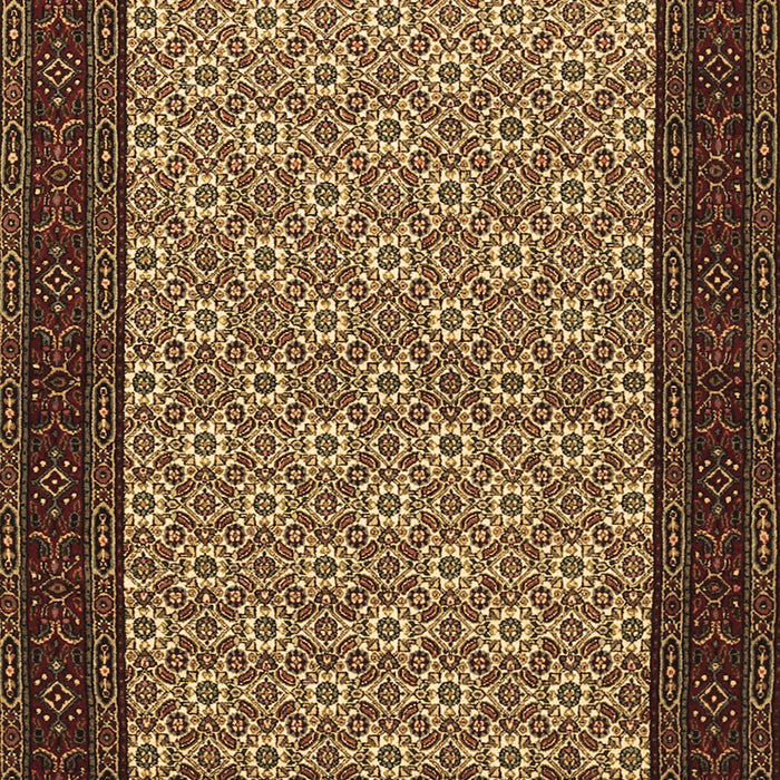 Persian Brown Traditional Rug, tr1593brn